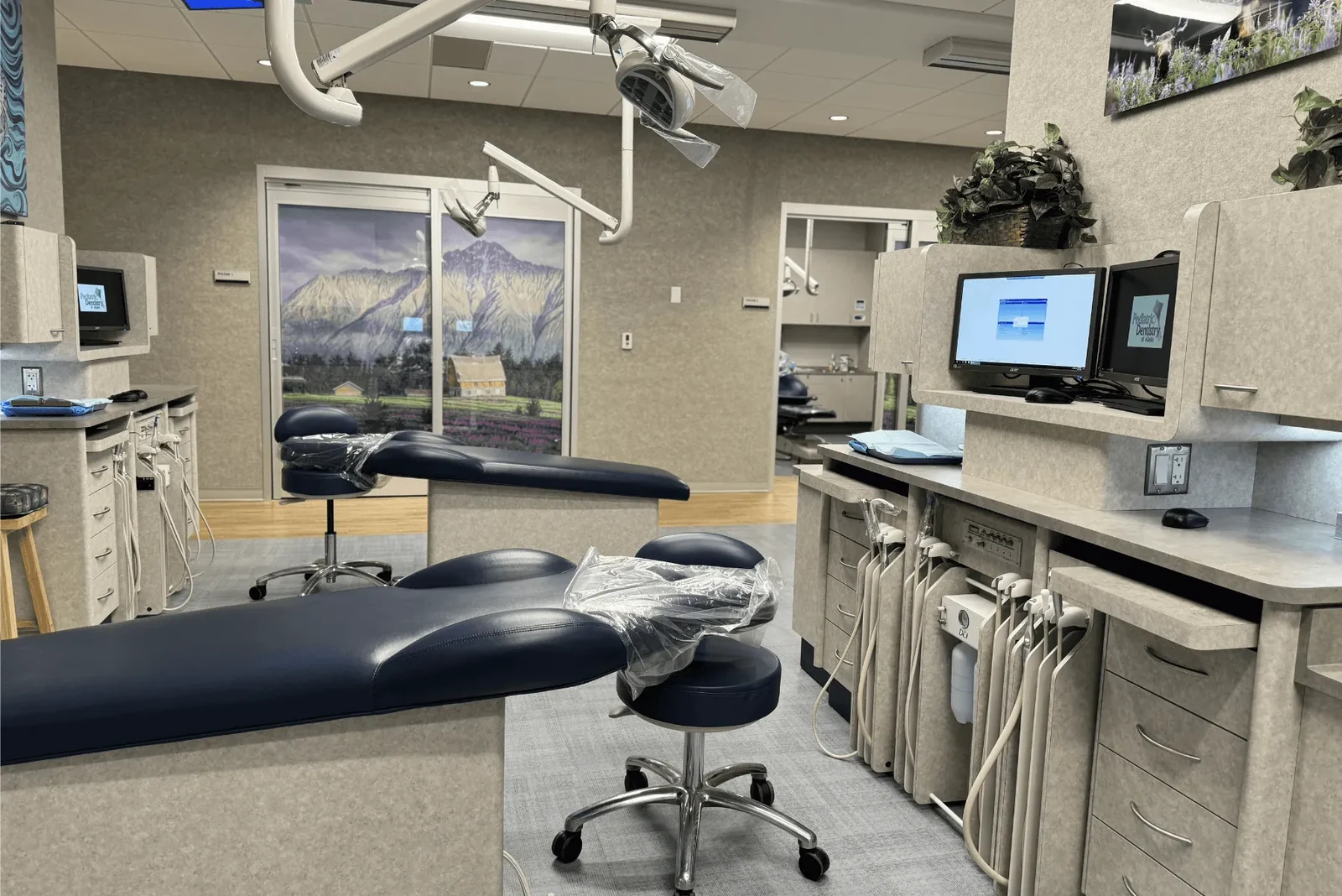 Dental treatment chair with equipment and mountain artwork in the background.